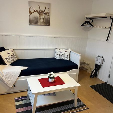 Vasacenter B&B Transtrand Bagian luar foto