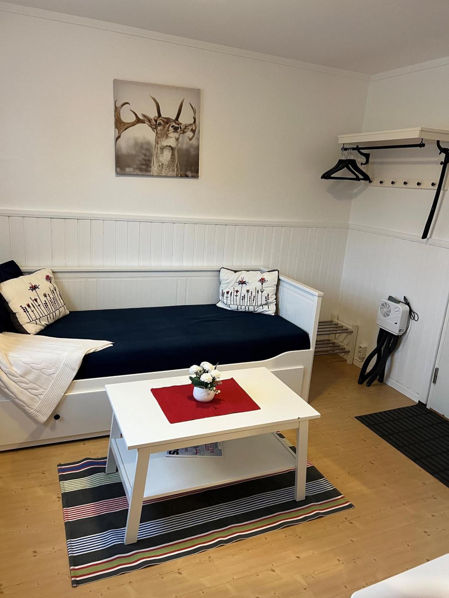 Vasacenter B&B Transtrand Bagian luar foto